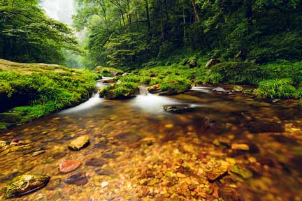 Summer in Zhangjiajie